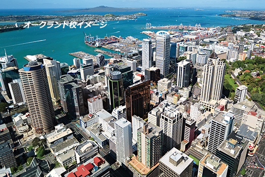 nzlc-auckland-city