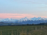 Darfield High School