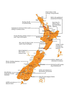 NZ情報