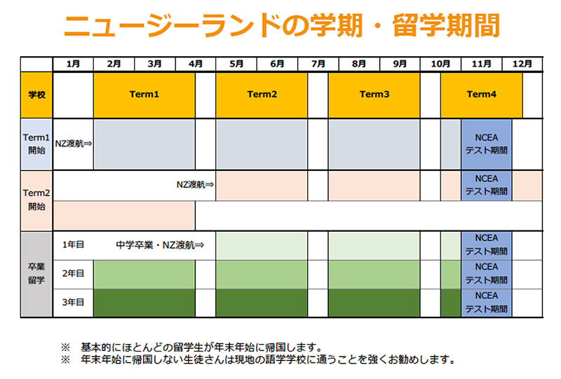 ニュージーランド高校留学の準備スケジュール・学期・時間割・科目