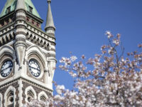 ニュージーランド大学留学・大学院留学ページを拡充しました!
